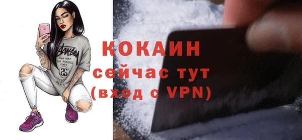 шишки Мегион