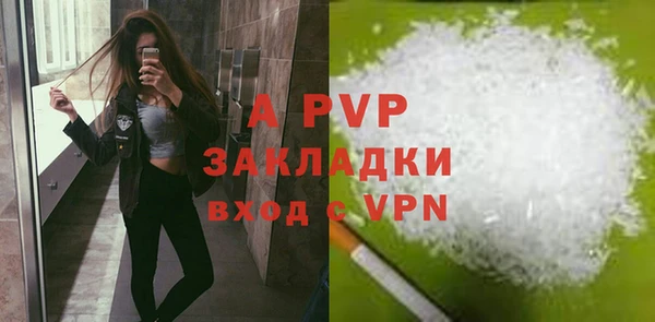 шишки Мегион