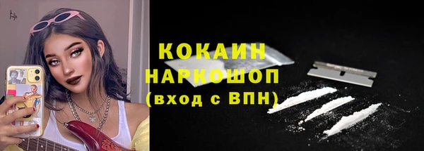шишки Мегион