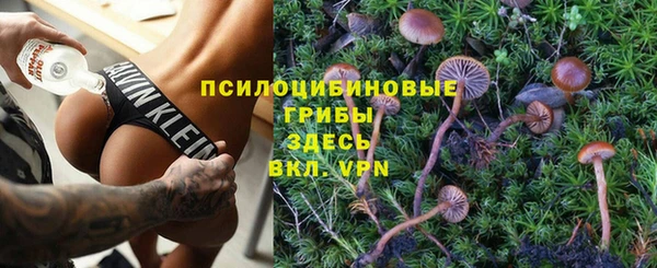 ALPHA PVP Медвежьегорск