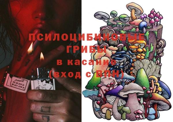 шишки Медногорск