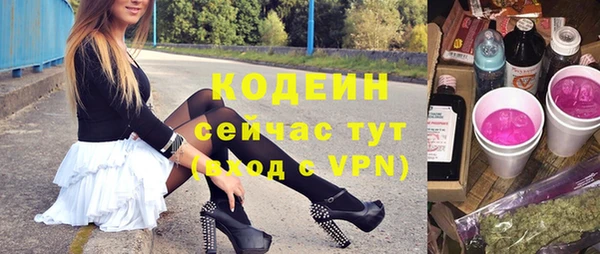 шишки Мегион