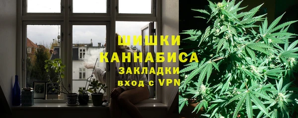 шишки Мегион