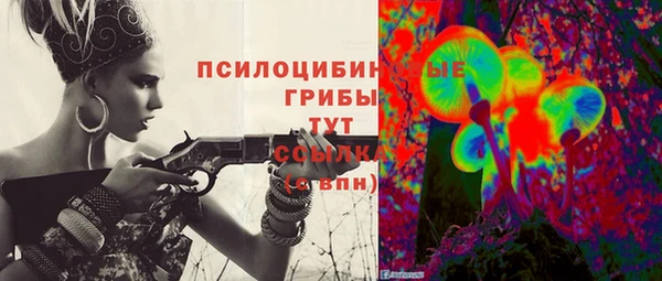шишки Медногорск
