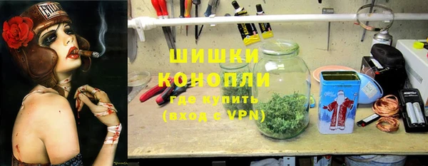 шишки Медногорск