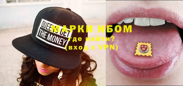 шишки Медногорск