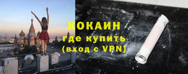 шишки Мегион