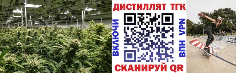 ТГК вейп  Урус-Мартан 