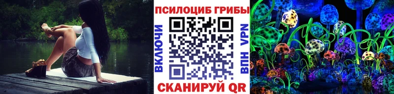 Галлюциногенные грибы Psilocybe  продажа наркотиков  Урус-Мартан 
