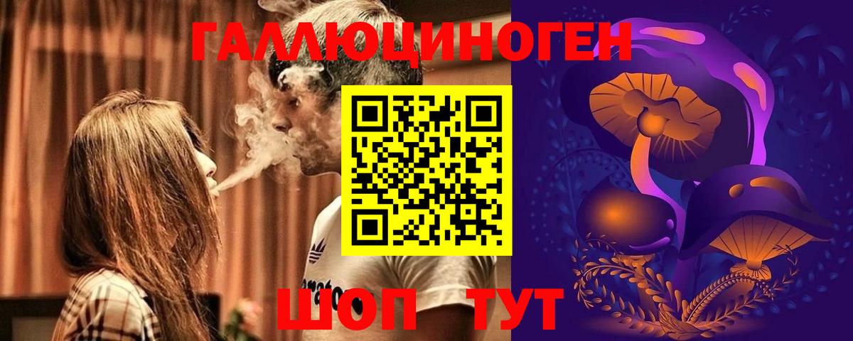 Псилоцибиновые грибы Psilocybine cubensis Урус-Мартан