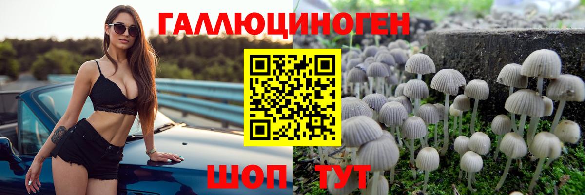 Псилоцибиновые грибы GOLDEN TEACHER  Вход с VPN  Галлюциногенные грибы Cubensis  Урус-Мартан 