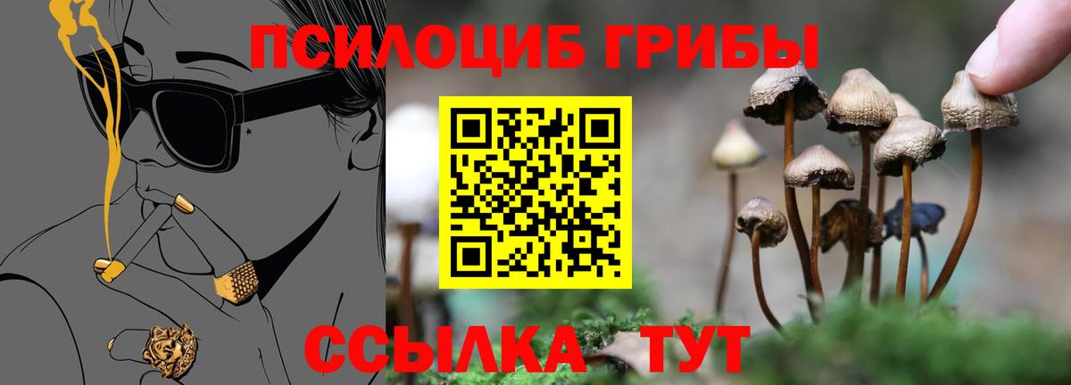 Галлюциногенные грибы ЛСД  Урус-Мартан 